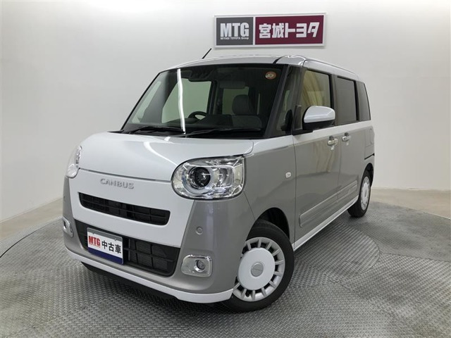 ムーヴキャンバス  ストライプス G