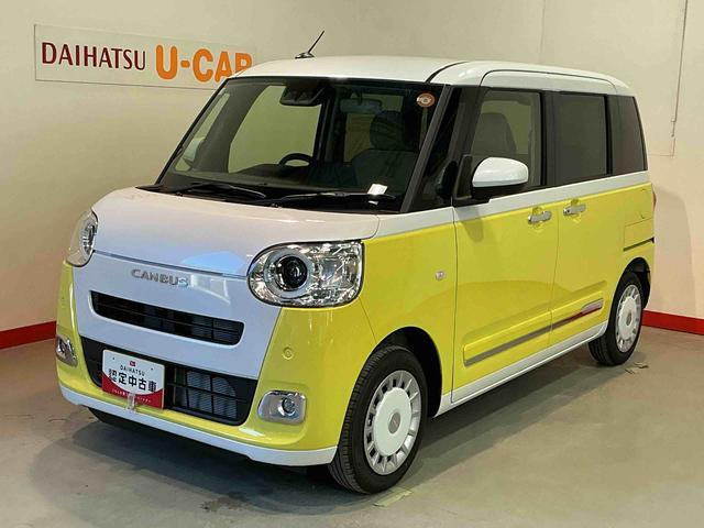 ムーヴキャンバス  ストライプス G