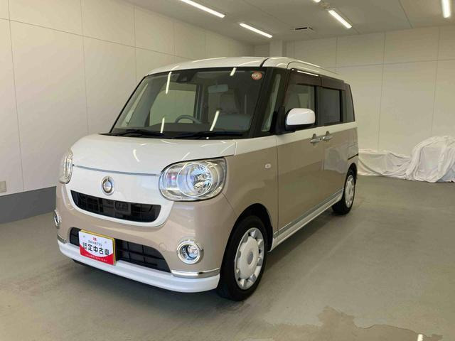 ムーヴキャンバス X リミテッド メイクアップ SAIII