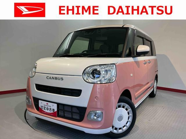 ムーヴキャンバス  ストライプス G