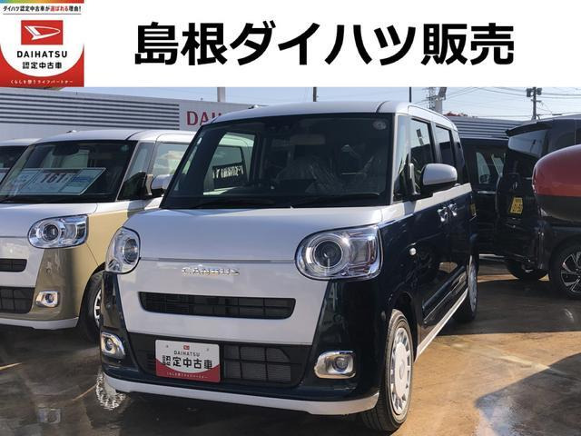 ムーヴキャンバス  ストライプス G