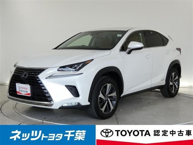 NX 300h バージョンL 