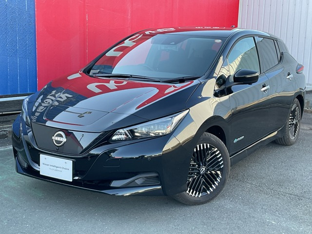 リーフ  X Vセレクション