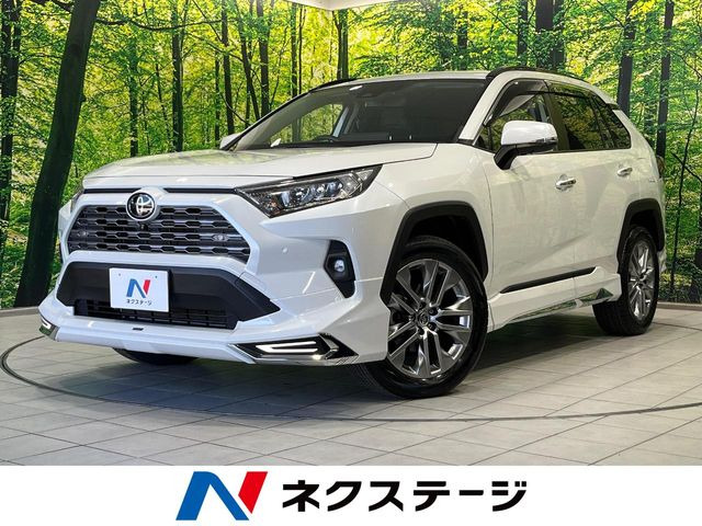 RAV4 2.0 G Zパッケージ 4WD （6BA-MXAA54）