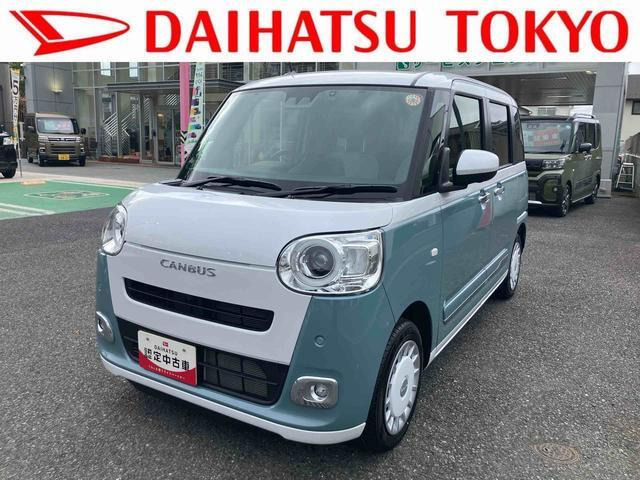 ムーヴキャンバス  ストライプス G