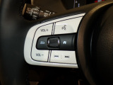 【ステアリングリモコン】ステアリングにオーディオ調節可能なスイッチが装備されていますので運転中でも視線をそらさずにオーディオの調節が可能です!