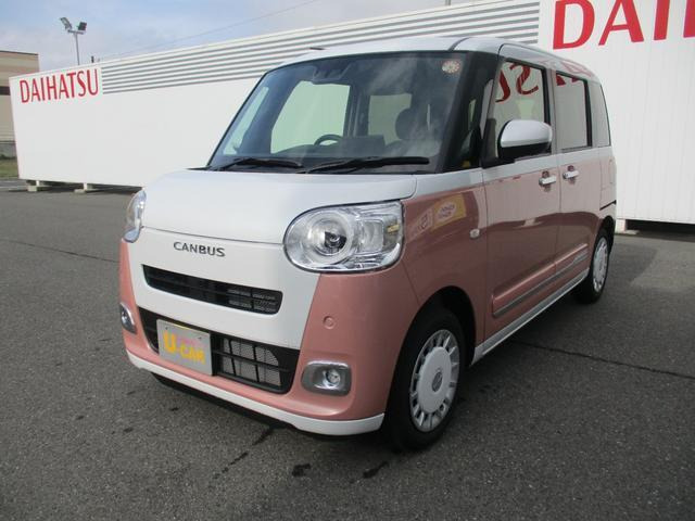 ムーヴキャンバス  ストライプス G