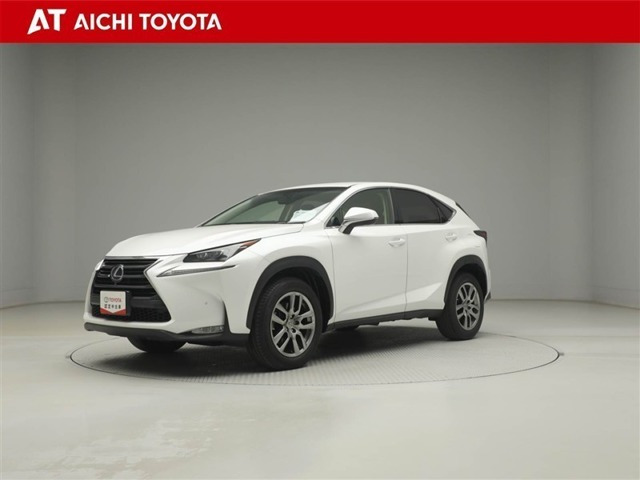 NX 300h バージョンL 