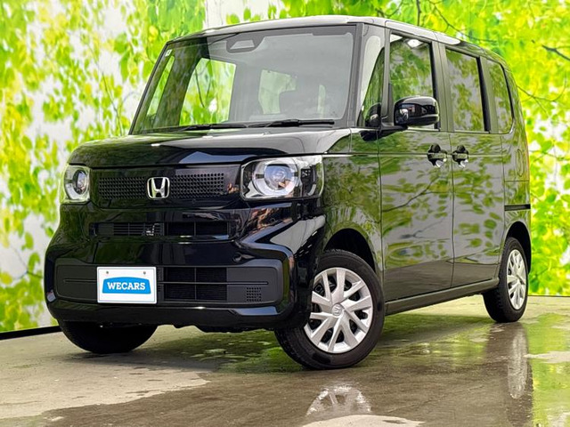 N-BOX 4WDヒョウジュン