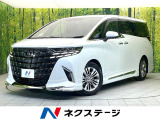 禁煙車 純正14型ナビ パノラミックビューモニター モデリスタエアロ