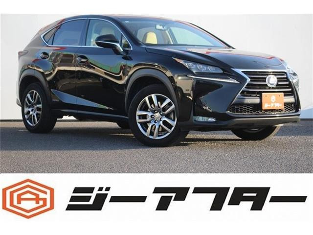 NX 300h Iパッケージ 純正ナビ フルセグTV バックカメラ