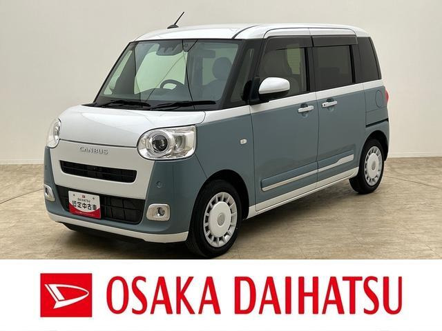 ムーヴキャンバス  ストライプス G