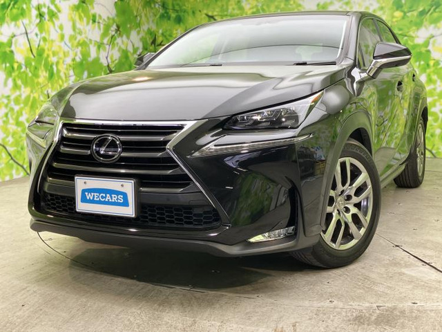 NX 200t Iパッケージ