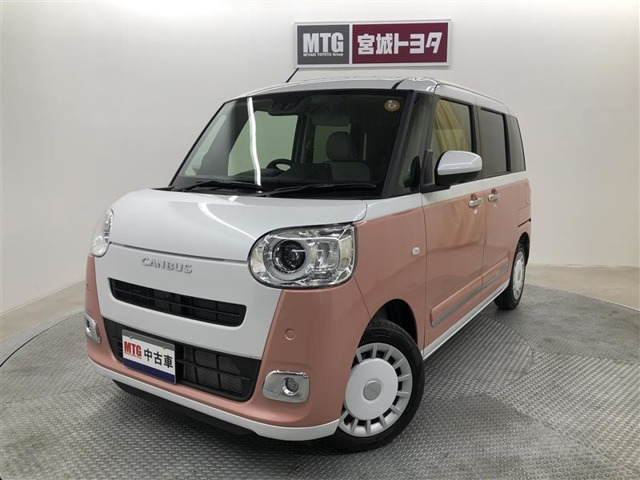 ムーヴキャンバス  ストライプス G