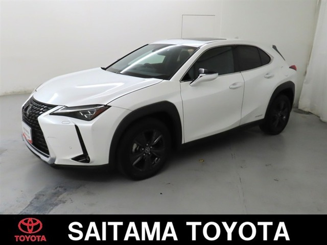 UX 250h バージョンC 