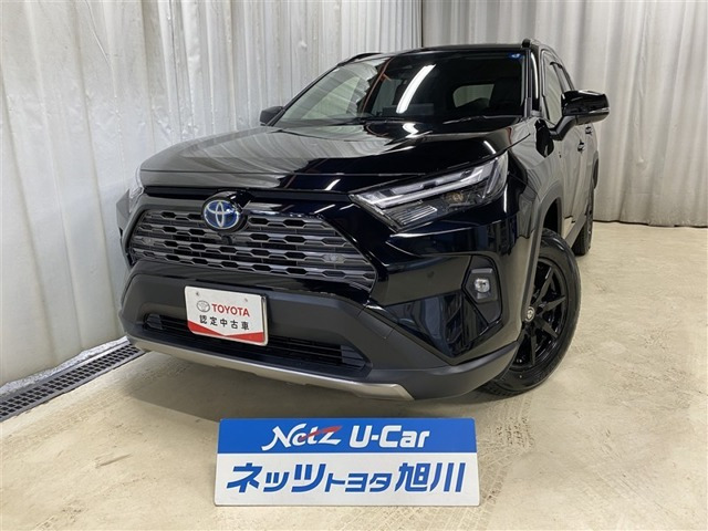 RAV4 2.5 ハイブリッド G E-Four 4WD （6AA-AXAH54）