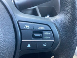 オートクルーズなどの操作ボタンもハンドルに装備されています。