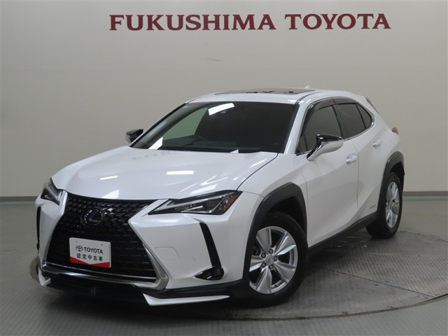 UX 250h バージョンC 