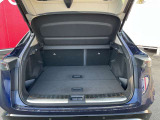 荷物を積むに十分なトランクスペース。