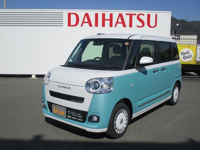 ムーヴキャンバス  ストライプス G