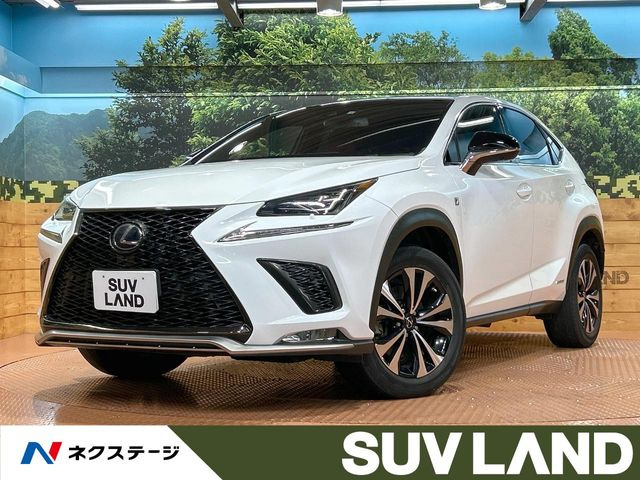NX 300h Fスポーツ 