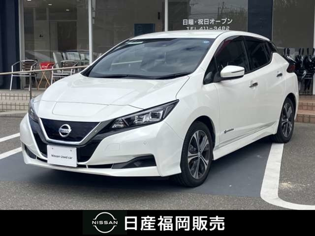リーフ X 10万台記念車