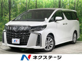 両側電動ドア 純正10インチナビ 後席モニター バックカメラ 衝突軽減