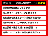 LS 460 バージョンC Iパッケージ モデリスタエアロ全画面ナビ