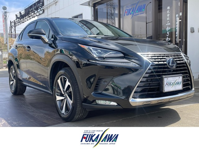 NX 300h Iパッケージ 