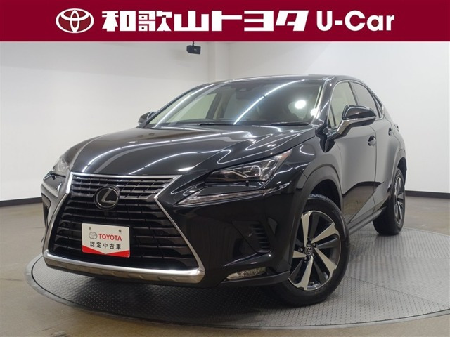 NX 300 Iパッケージ