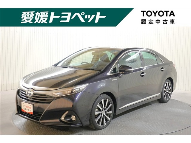 SAI 2.4 G ヴィオラ