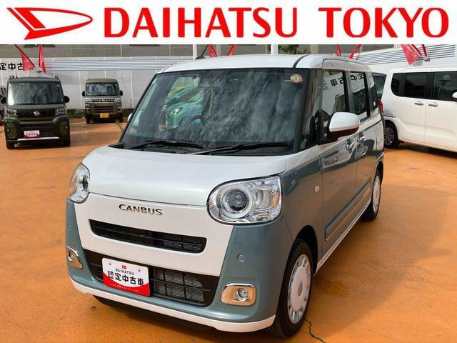 ムーヴキャンバス  ストライプス G