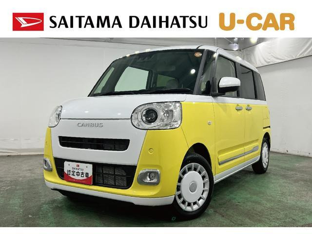 ムーヴキャンバス  ストライプス G