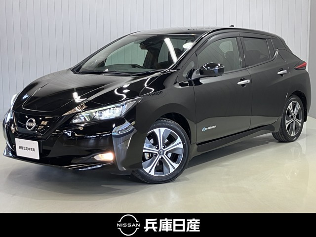 リーフ  X Vセレクション