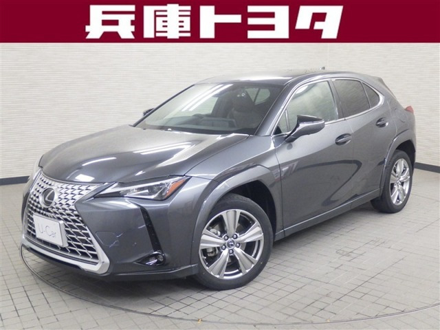 UX 250h グレイスフル エクスプローラー 