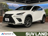 純正10型ナビ 三眼LED ブラインドスポットモニター バックカメラ 衝