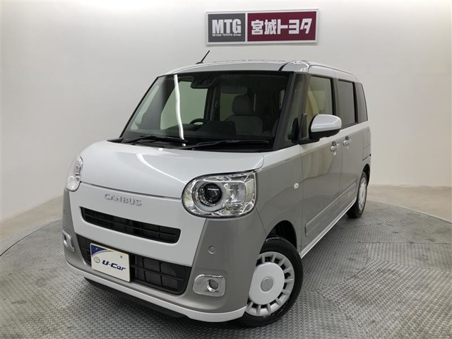 ムーヴキャンバス  ストライプス G