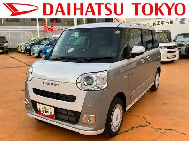 ムーヴキャンバス  ストライプス G