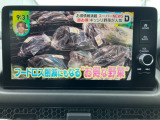TV付きの車となっております。送迎時の待ち時間などとてもお役に立ちます。