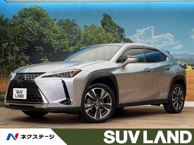 UX 250h バージョンC