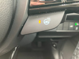 ステアリングヒーターも装備