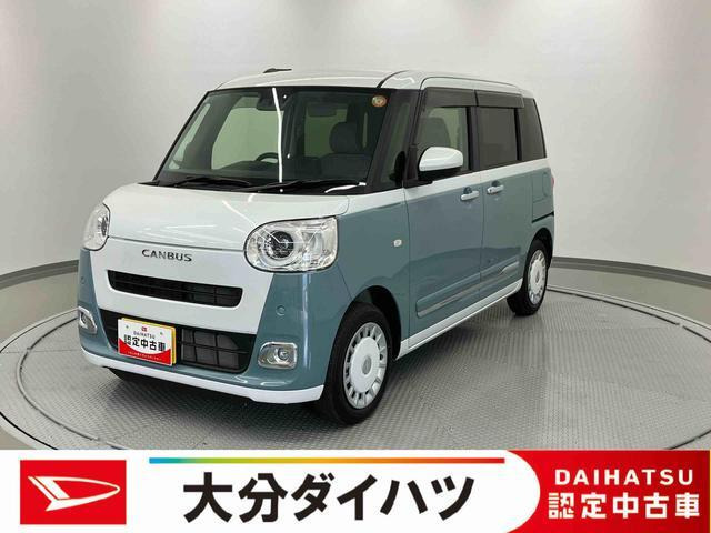 ムーヴキャンバス  ストライプス G