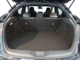 リヤシートを両方倒せば、大きなラッゲージスペースが出来上がります。