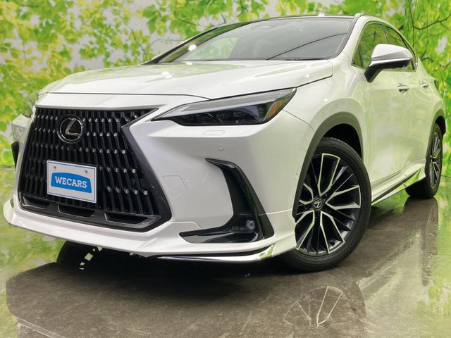 NX 350h バージョンL 4WD