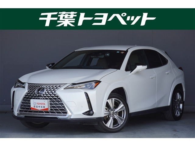 UX 250h グレイスフル エクスプローラー 