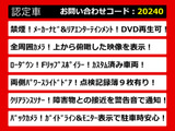 エルグランド 3.5 350ハイウェイスター リアエンタメ ローダウン 両自