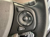 クルーズコントロールを装備しています。高速道路などで一定の速度で走ってくれるので運転が楽ですよ!速度を設定できますので、スピードの出しすぎにも注意できます。