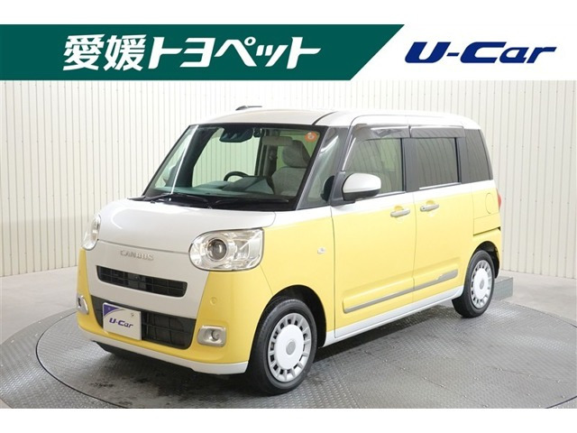 ムーヴキャンバス  ストライプス G