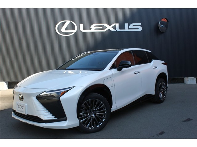 RZ 300e バージョンL 