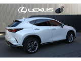 NX 250 バージョンL 4WD 